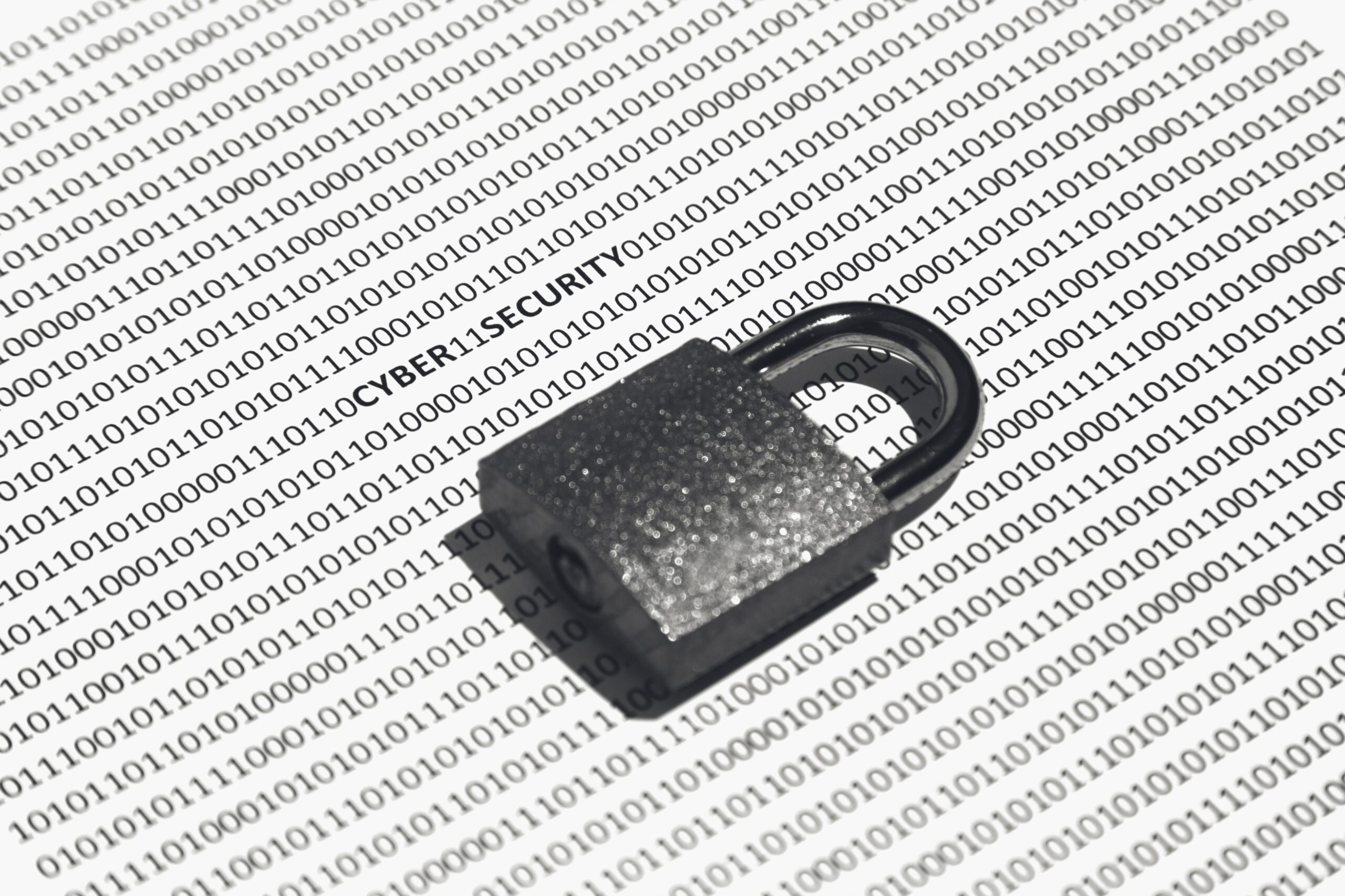 Integridad Datos Ciberseguridad